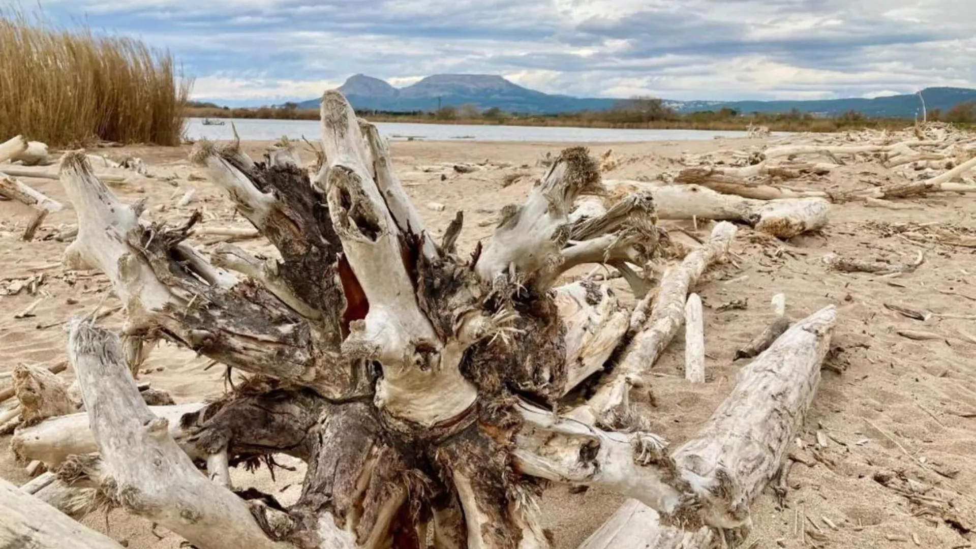 Argonavis Planta Baja Appartement L'Estartit Spanje